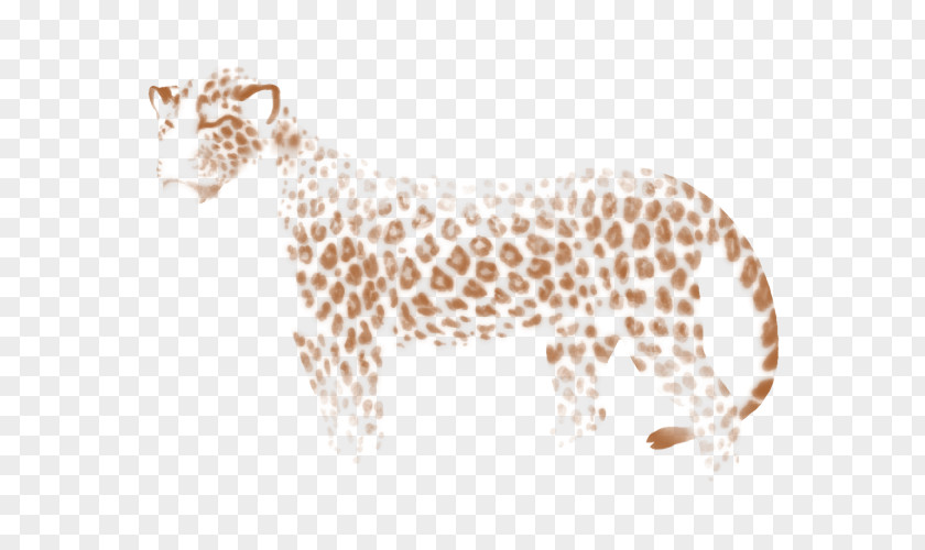 Leopard Cheetah Giraffe Felidae Lion PNG