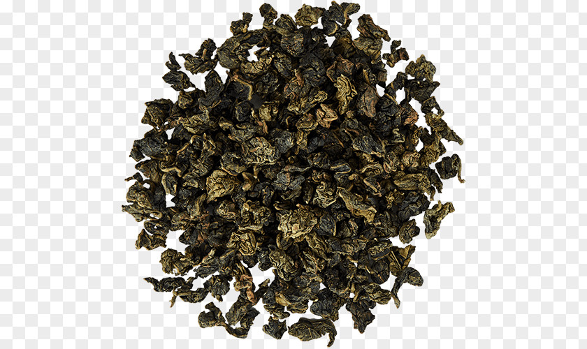 Oolong Tea Biluochun Green Nilgiri PNG