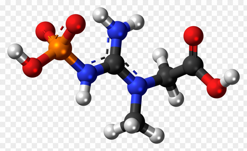 Phosphocreatine Molecule 1,3-Bisphosphoglyceric Acid Chemical Compound PNG