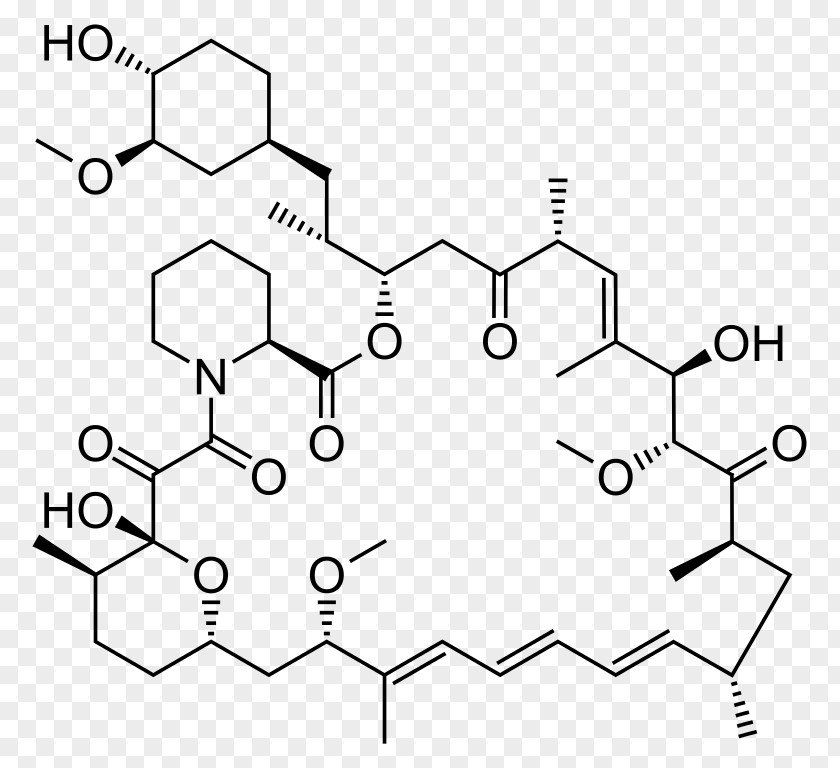 Sirolimus MTOR Inhibitors Small Molecule PNG