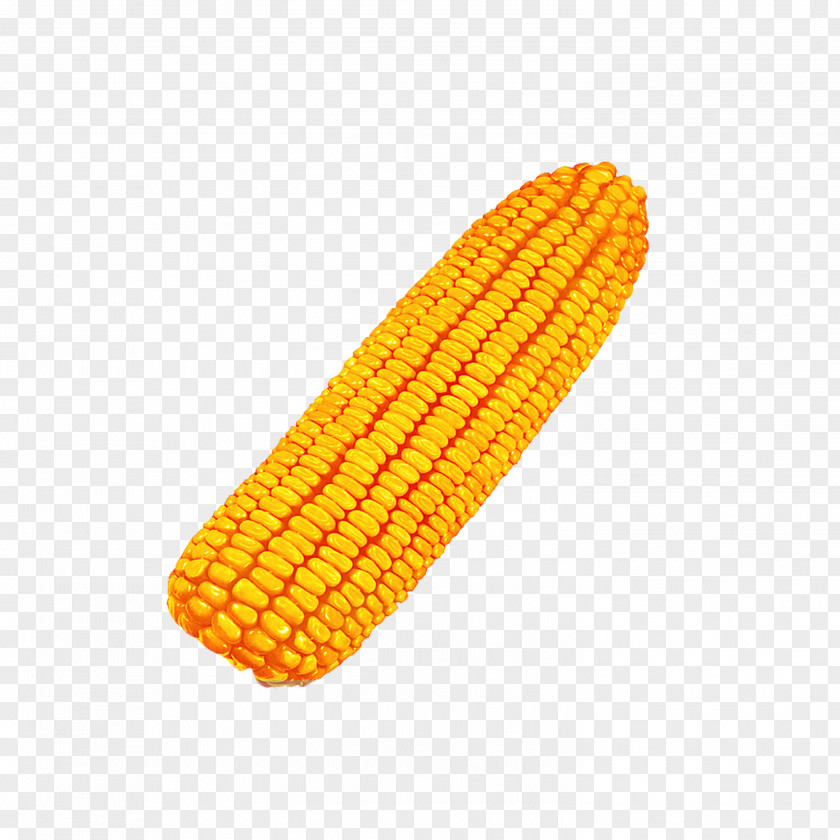 Corn On The Cob Maize Caryopsis Crop Seed PNG