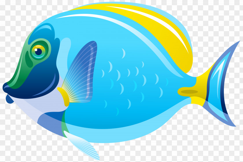 Fish Saltwater Clip Art PNG