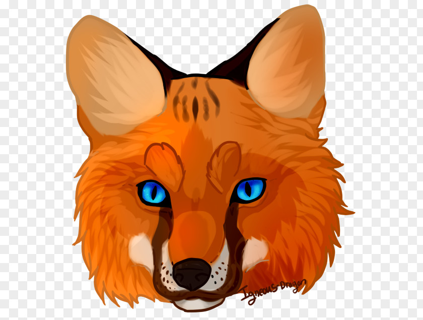 Fox Face Cliparts Red Whiskers Clip Art PNG