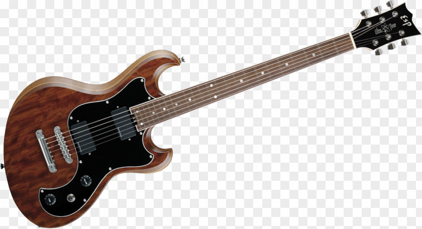 Guitar Archtop Bass Electric Höfner PNG