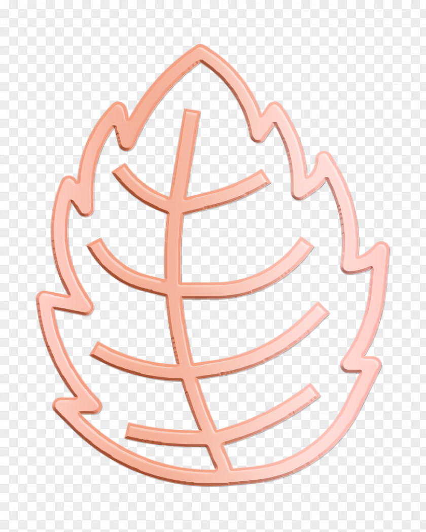 Herb Icon Mint PNG