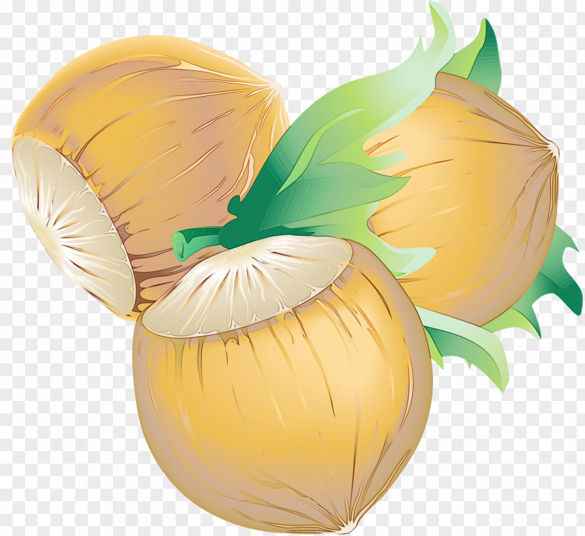 Onion Food Easter Egg Background PNG