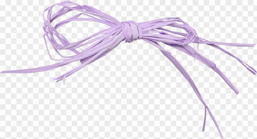 Purple Ribbon Grass Photography Information PNG