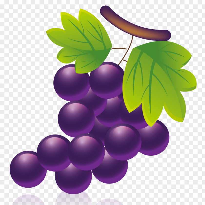 Vector Grape Material Shiraz Wine Concord Post-it Note PNG