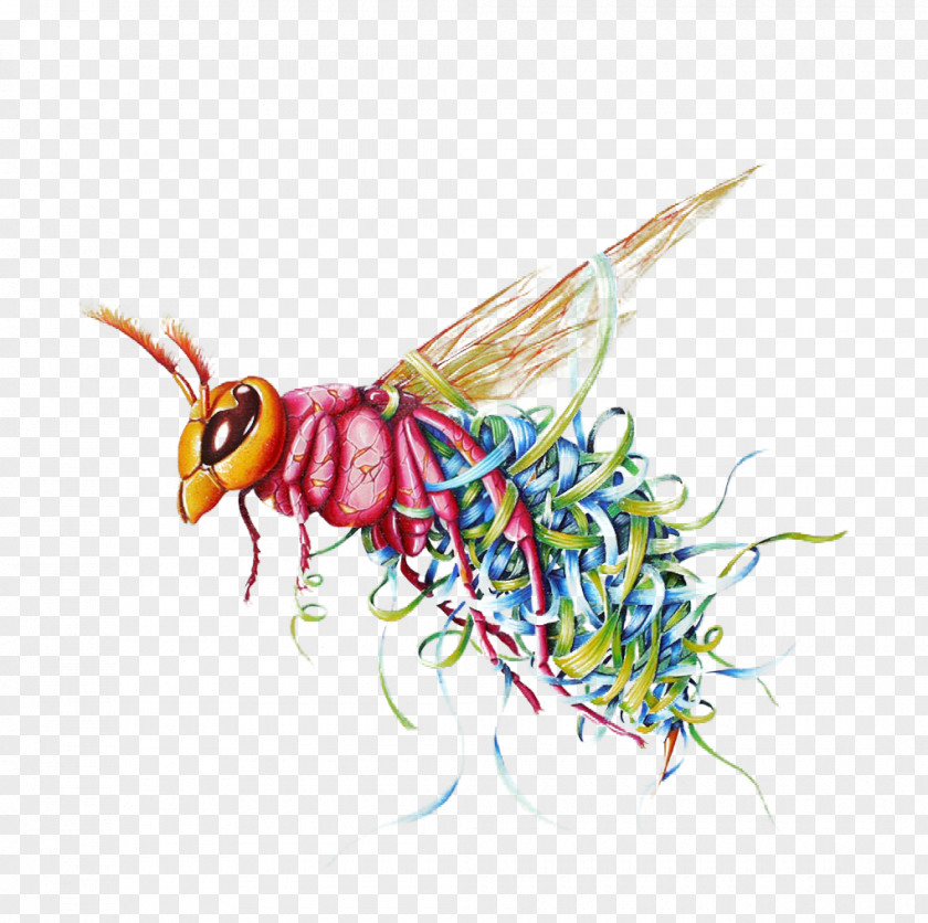 Bee Illustration Painting PNG