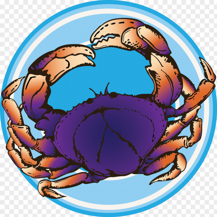 Crab Dungeness Clip Art PNG