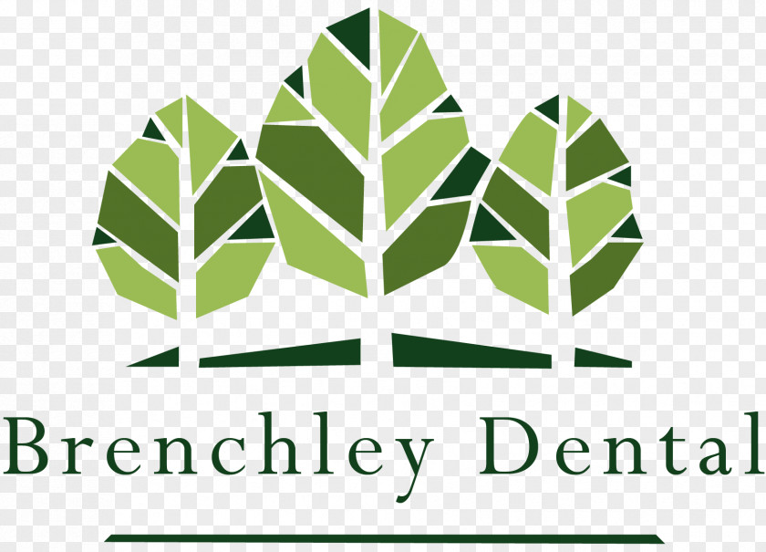 Endodontic Therapy Dentistry Brenchley Logo Matfield PNG