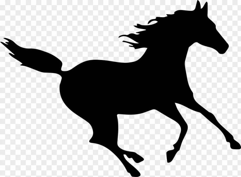 Horse Silhouette PNG