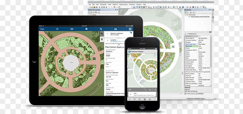 Statistics Background Template ArcGIS Geographic Information System Esri Map Rakendus PNG