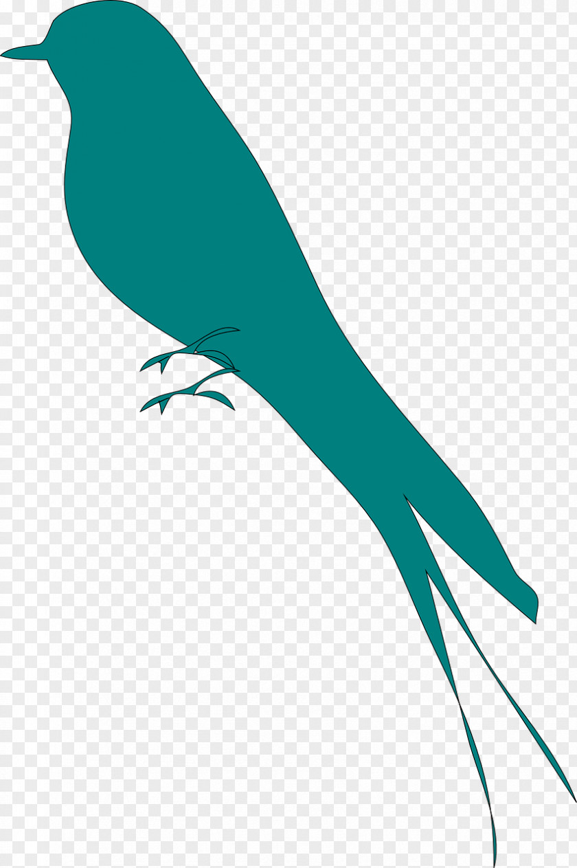 Bird Swallow Clip Art Vector Graphics Silhouette PNG