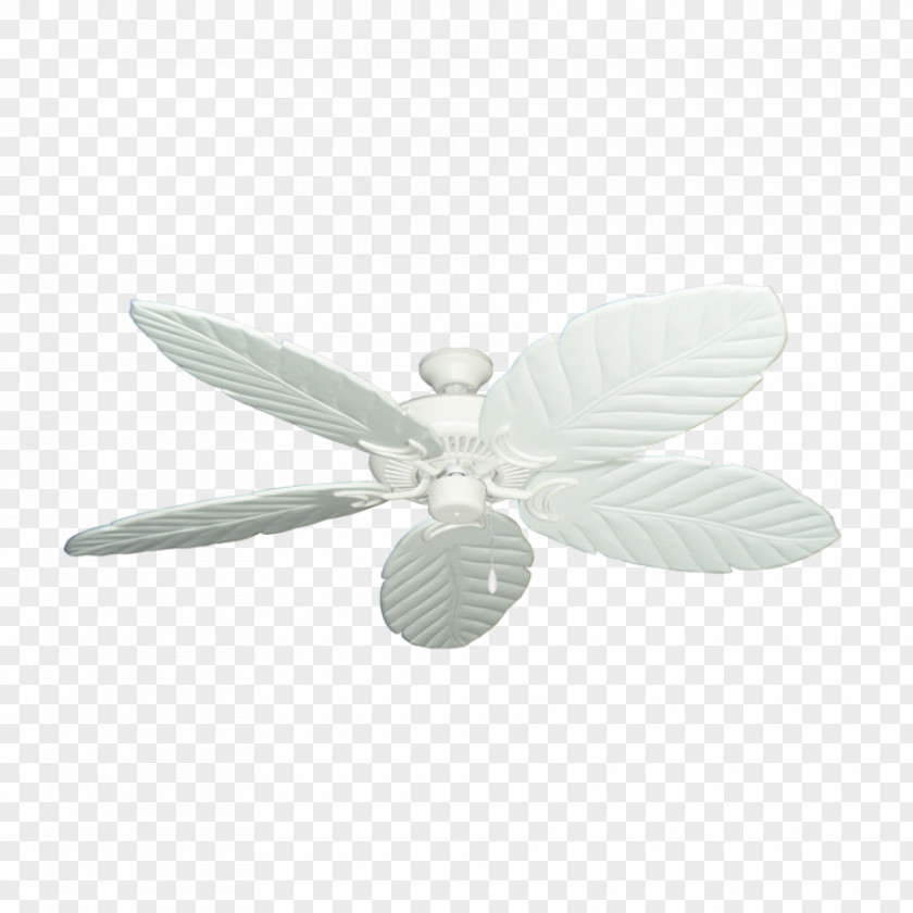 Fan Palm Ceiling Fans PNG