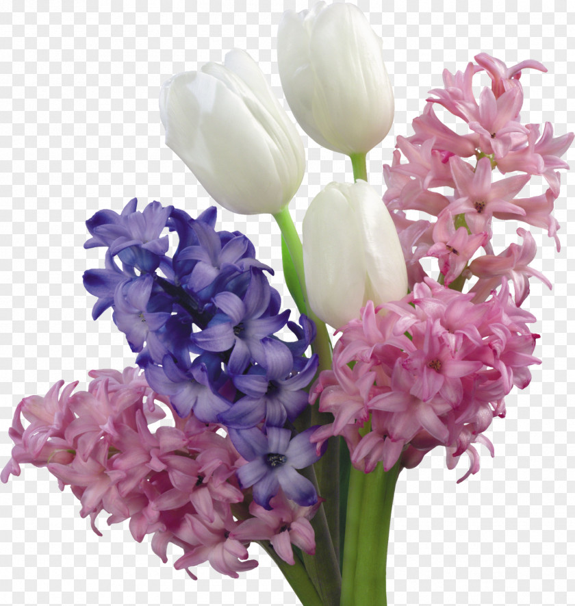 Flower Spring Bouquet Desktop Wallpaper Tulip PNG