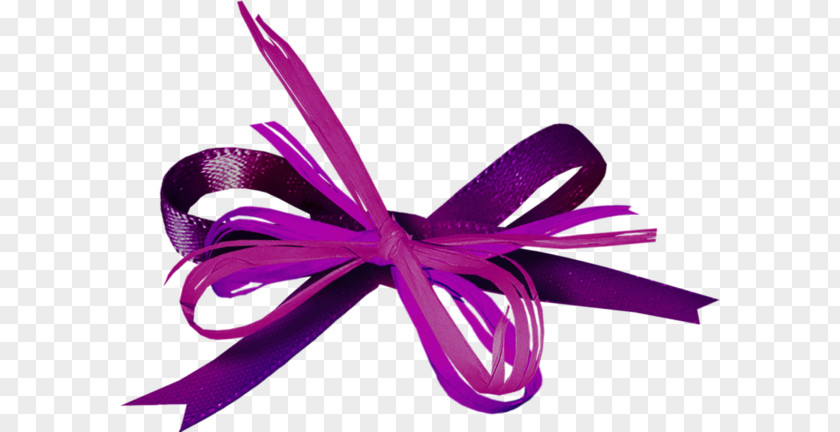 Purple Ribbon Bow PNG