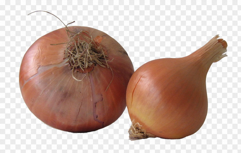 Yellow Onion Shallot Health Caramelization Bulb PNG