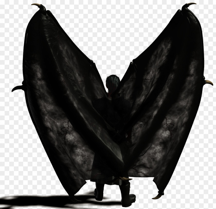 Black Wings White Hair Author Grey PNG