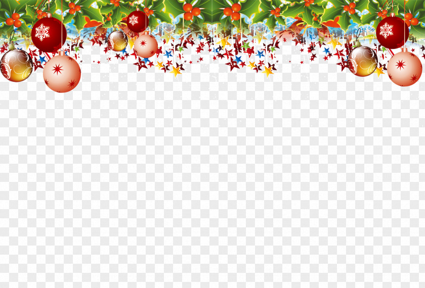 Christmas Background Em Photography PNG