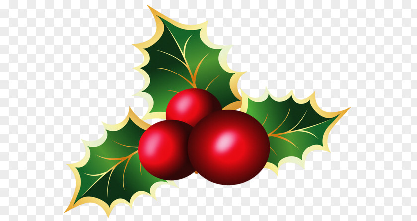 Christmas Mistletoe Viscum Clip Art PNG