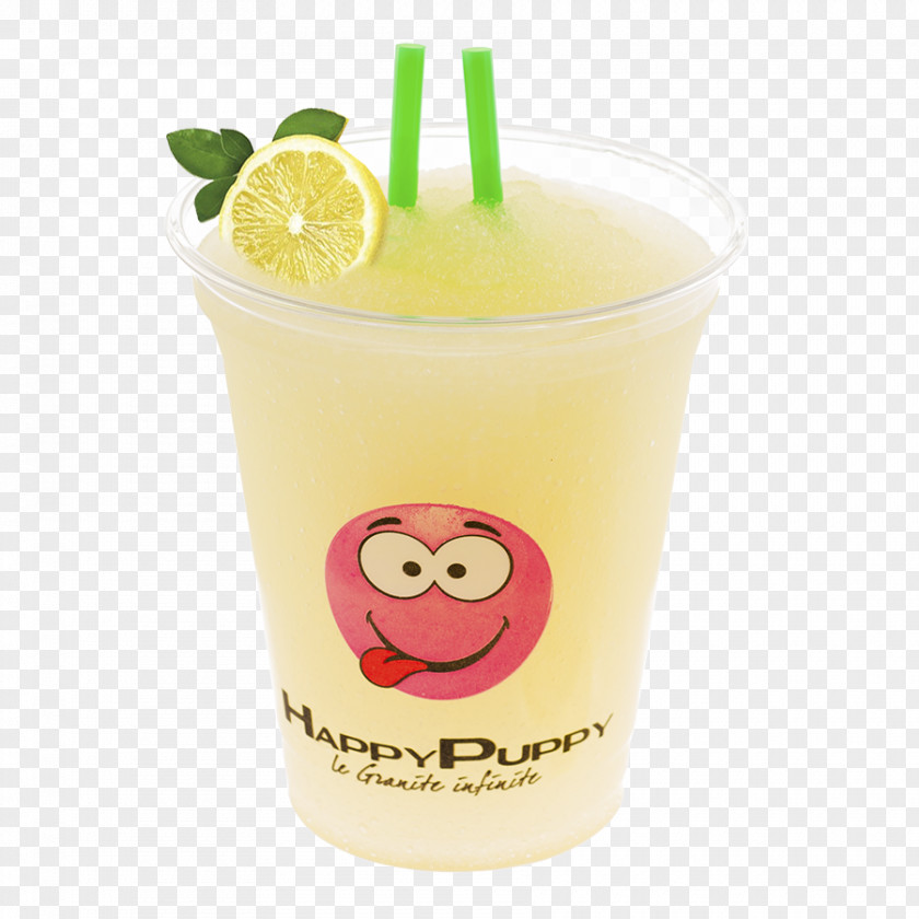 Lemonade Orange Drink Limeade Cocktail Garnish Harvey Wallbanger PNG