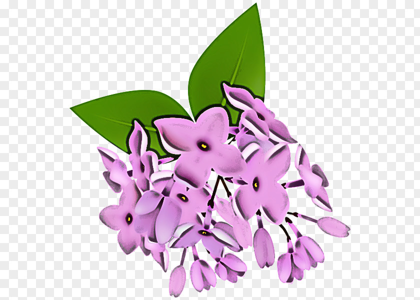Lilac Flower Violet Purple Plant PNG