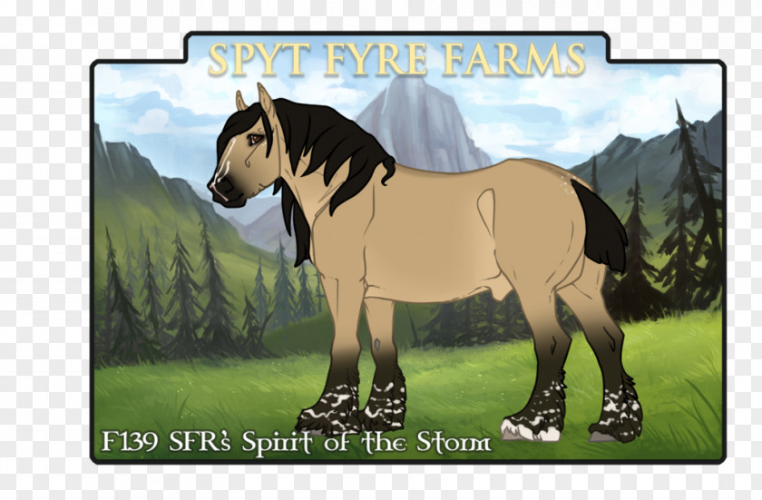 Mustang Mane Stallion Pony Mare PNG