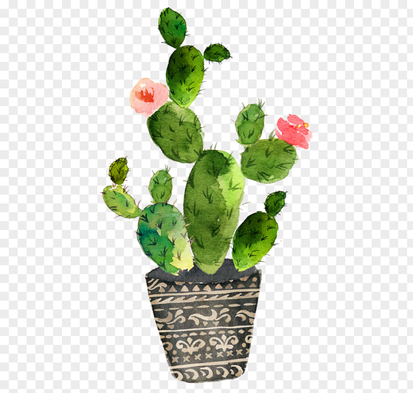 Painting Cactaceae Watercolor Prickly Pear Art PNG