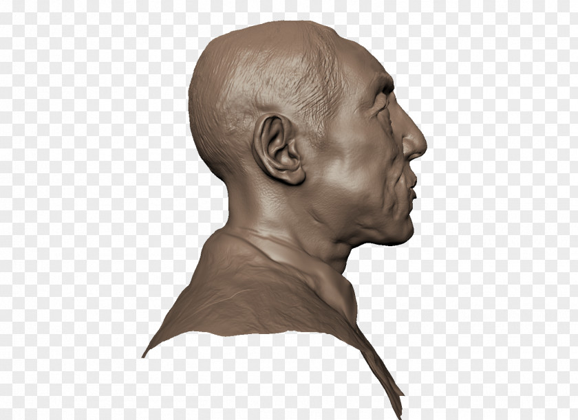 Sculpture Neck Bust Jaw Forehead PNG