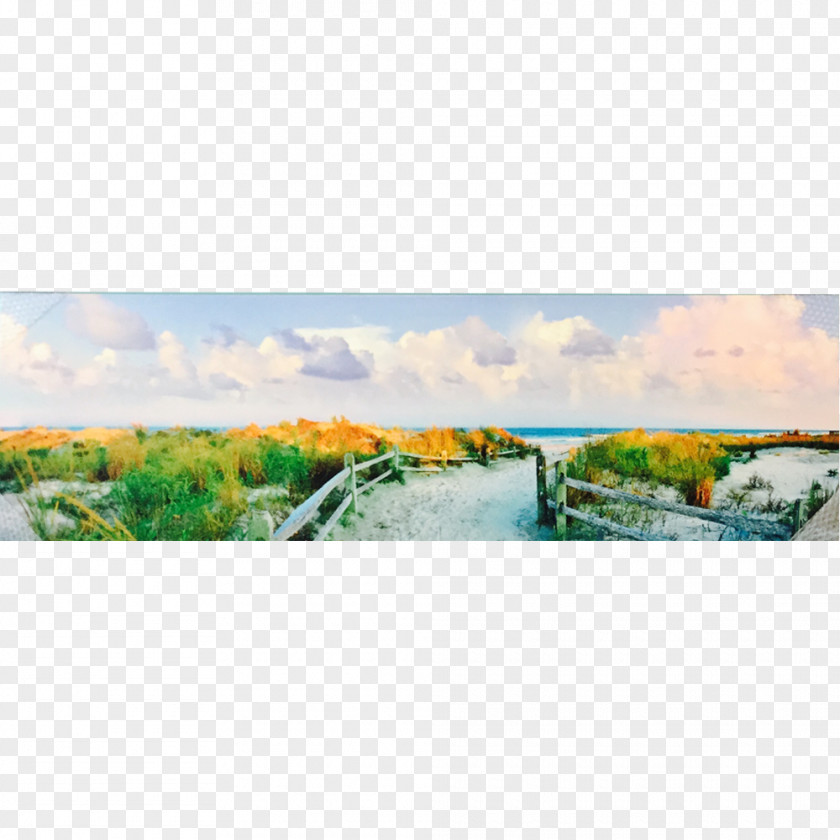 Watercolor Island Art Panoramic Photography Panorama Work Of PNG
