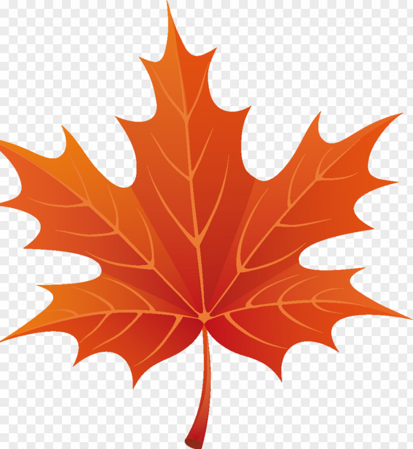 Autumn Leaves Border Maple Leaf Clip Art PNG