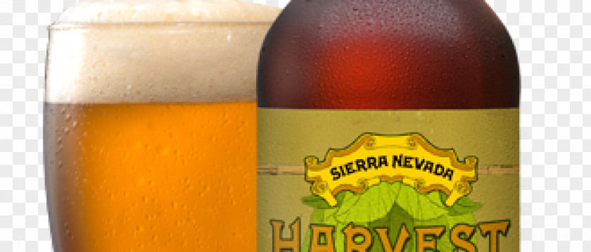 Beer Ale Wheat Lager Bottle PNG