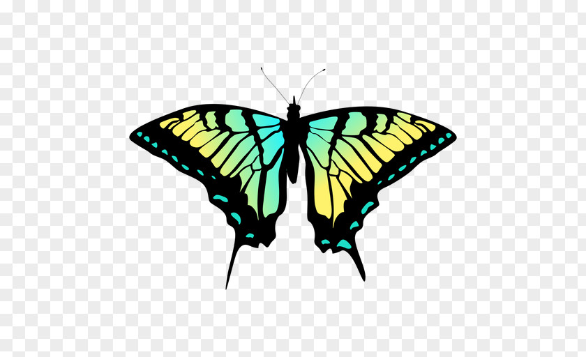 Butterfly Vector Free Download Image Clip Art Euclidean PNG