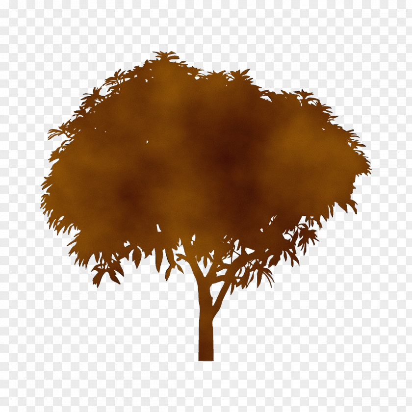 Deciduous Branch Plane PNG