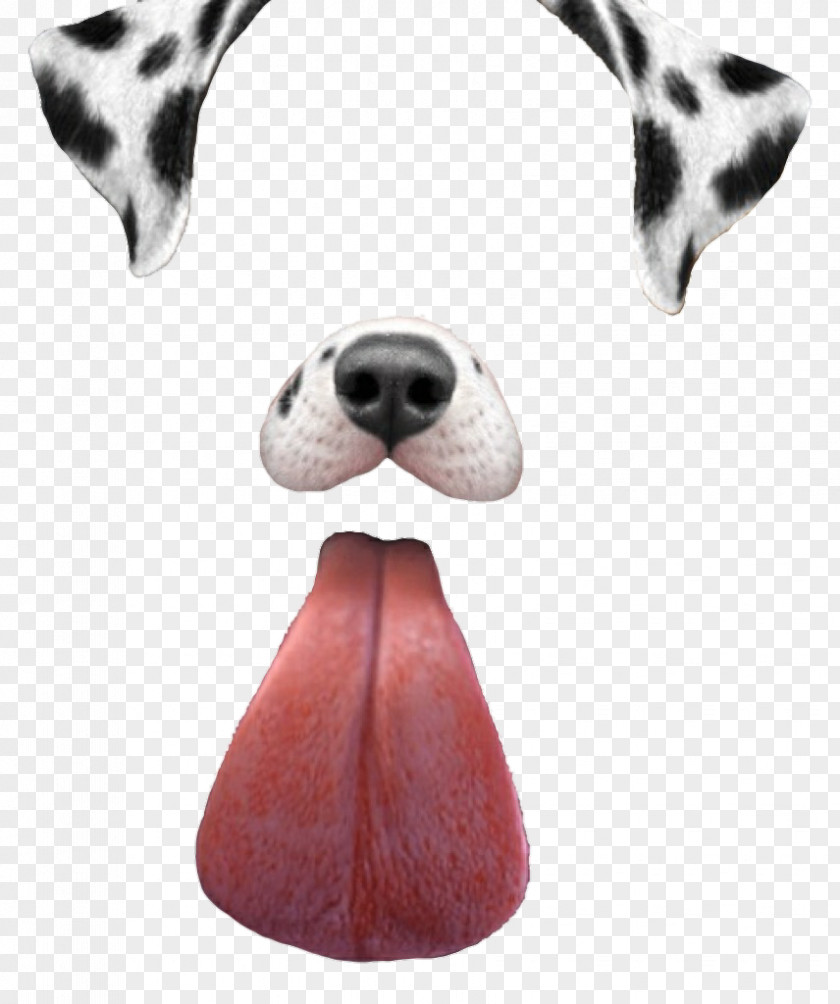 Icon Free Vectors Download Snapchat Filters Dalmatian Dog Dachshund Puppy PNG