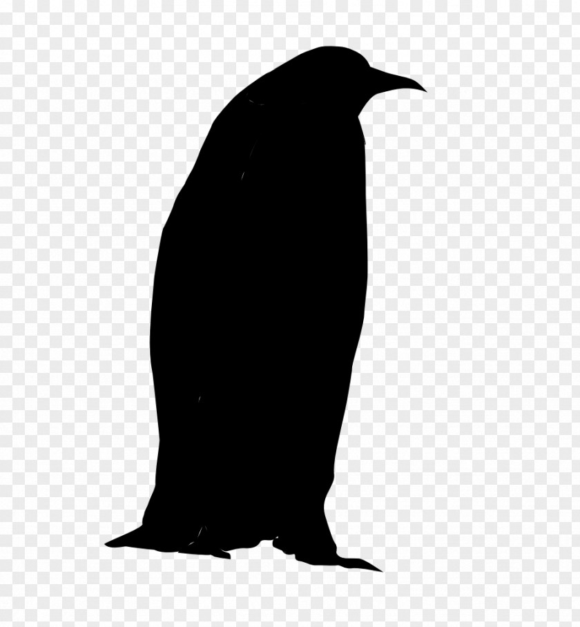 Penguin Fauna Silhouette Beak PNG