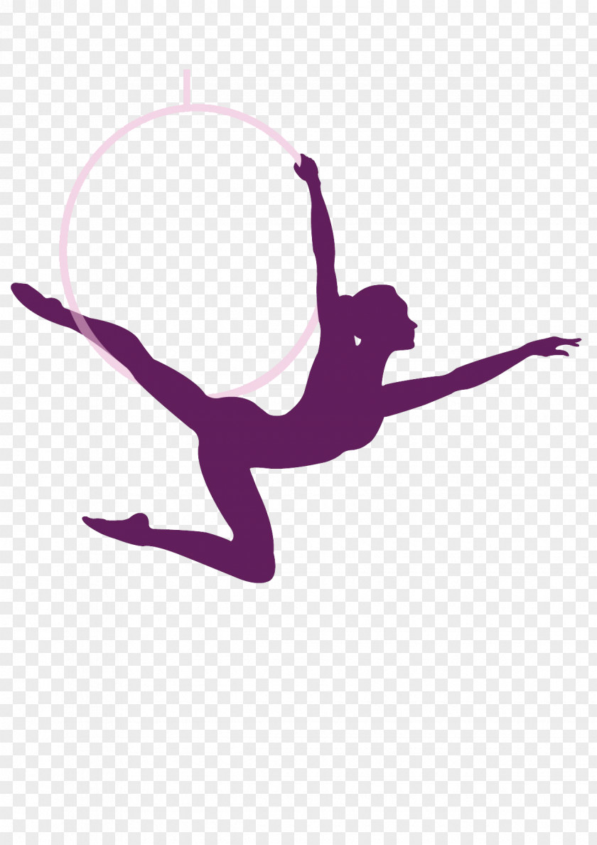 School Shkola Yeleny Marso Acrobatics Pole Dance Learning PNG