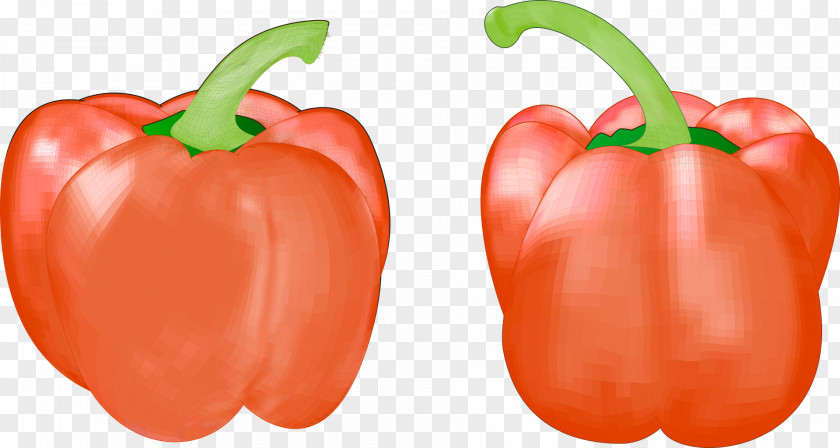 Bell Pepper Habanero Piquillo Cayenne Plum Tomato PNG