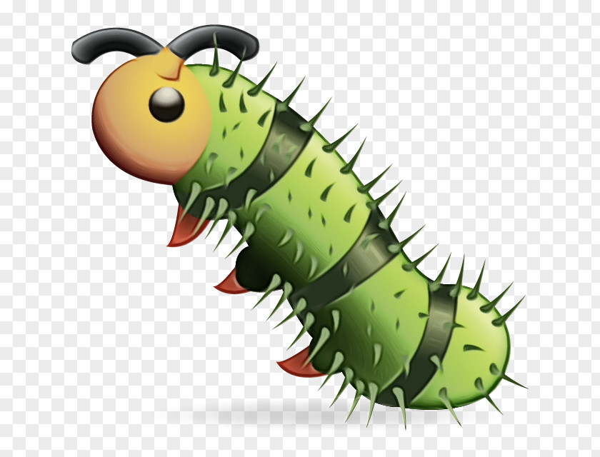 Emperor Moths Mantis Shrimp Heart Emoji Background PNG