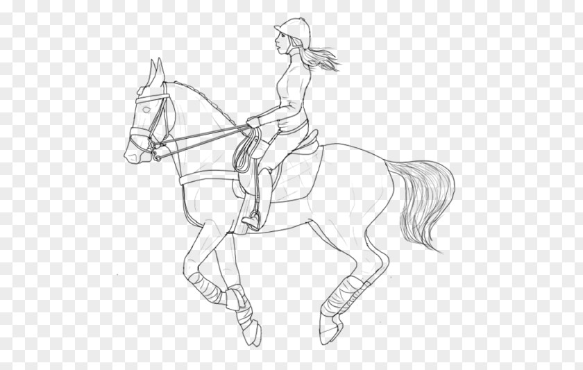 Horse Riding American Paint Pony Line Art Tack Rearing PNG