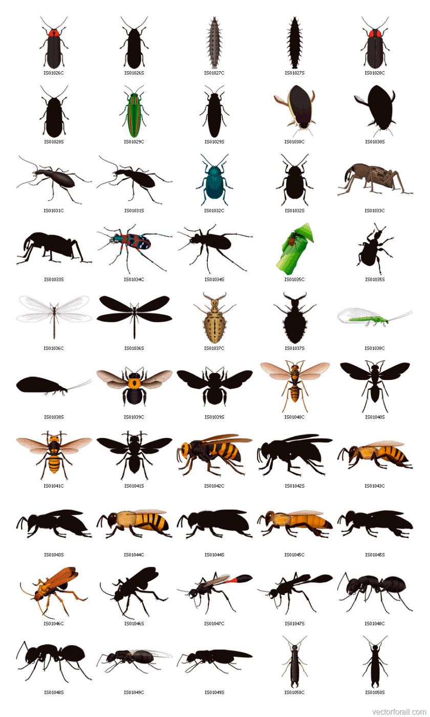 Mosquito Insect Bee Clip Art PNG