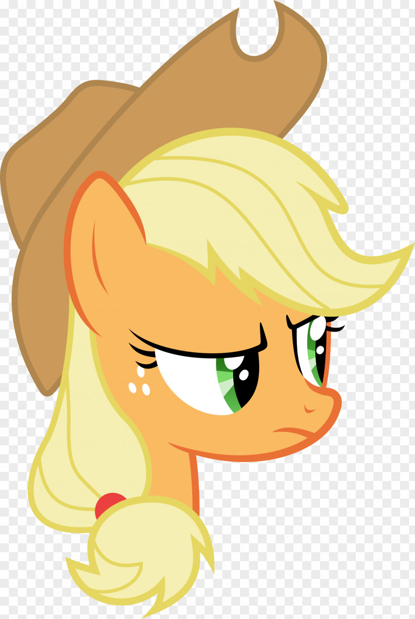 My Little Pony Applejack Rainbow Dash Rarity Pinkie Pie Twilight Sparkle PNG