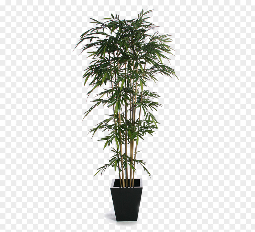 Plant Plants, Plants And More Houseplant Artificial Flower PNG