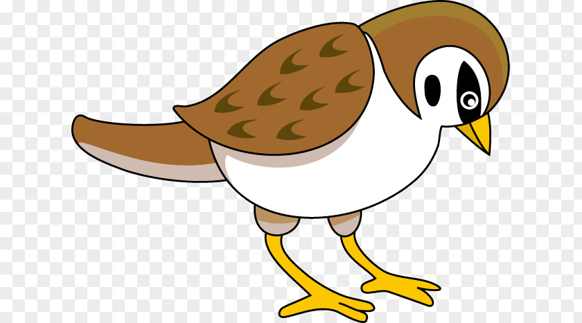 Sparrow Cliparts House Bird Clip Art PNG