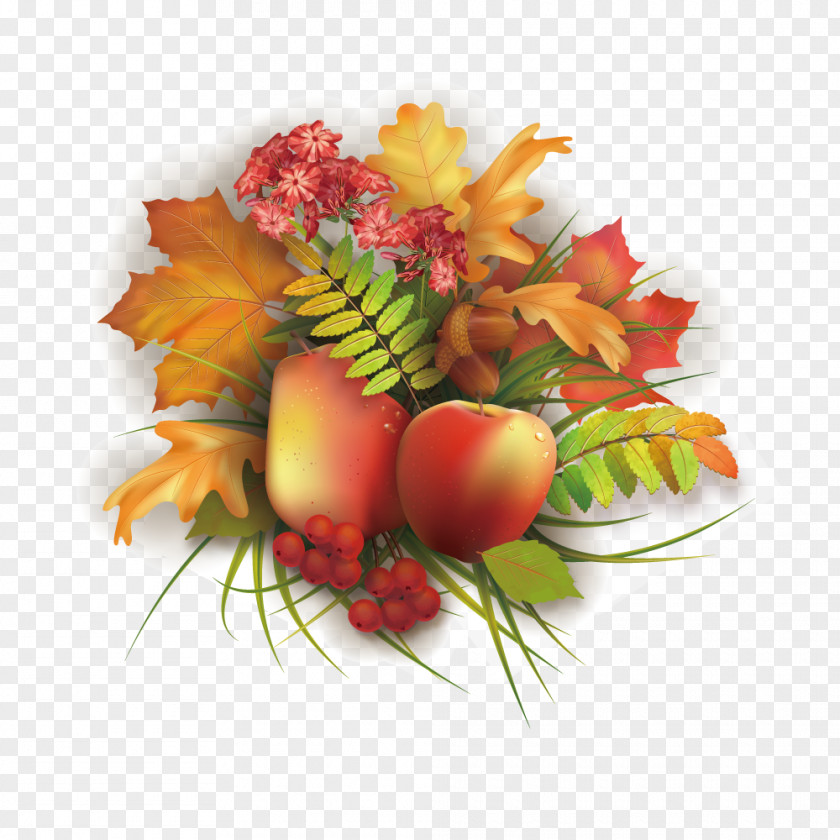 Vector Painted Autumn Harvest Illustration PNG