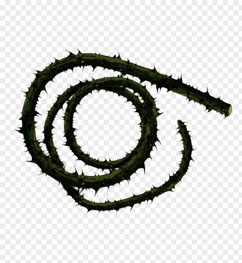 Whip Corpse Carrier Thorns, Spines, And Prickles Weapon Vine PNG