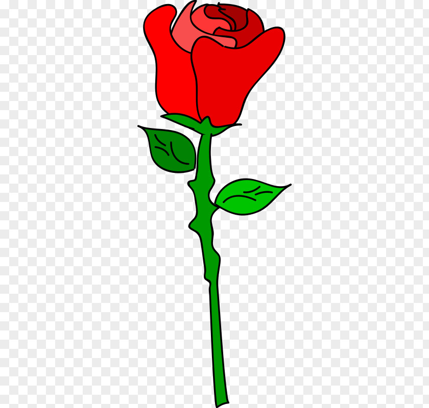 Cartoon Rose Pictures Drawing Clip Art PNG