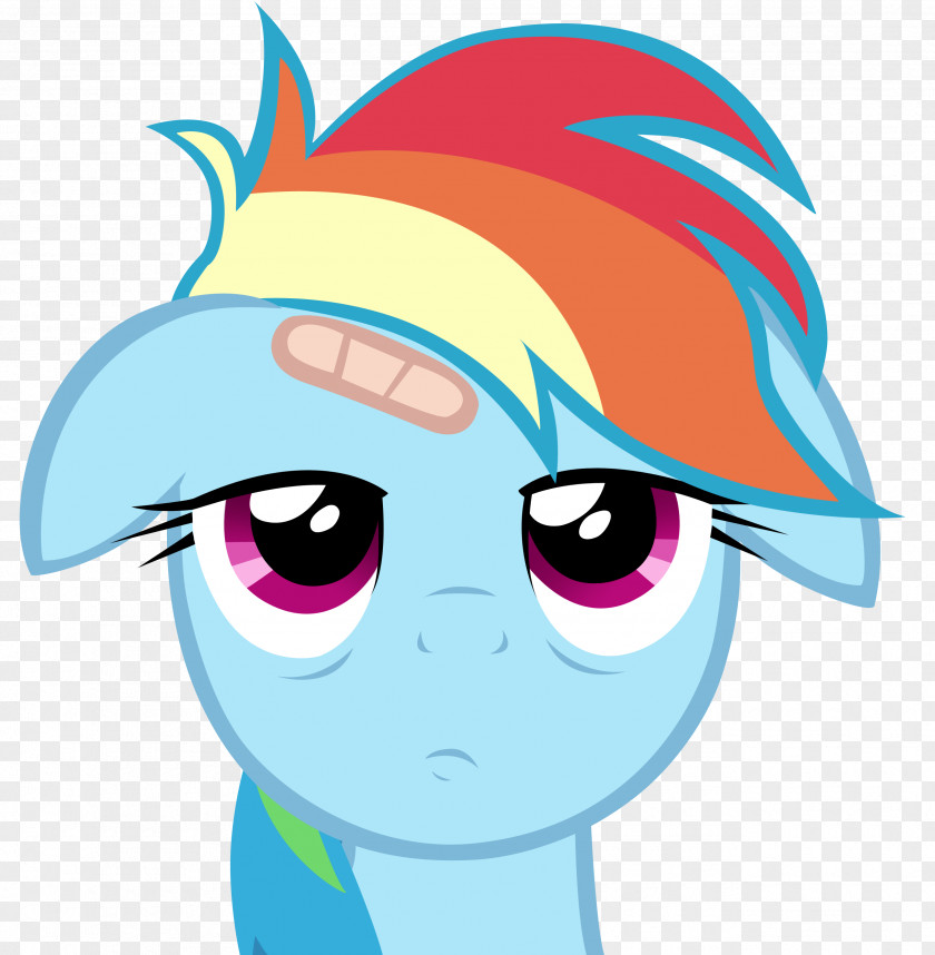 Dash Rainbow Pinkie Pie Twilight Sparkle Rarity Applejack PNG