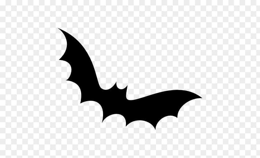 Halloween Bat Pic Icon PNG